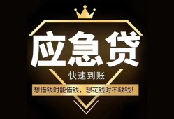 成都19个人小额贷款-成都19信用贷款哪家好-成都19私借空放免费上门